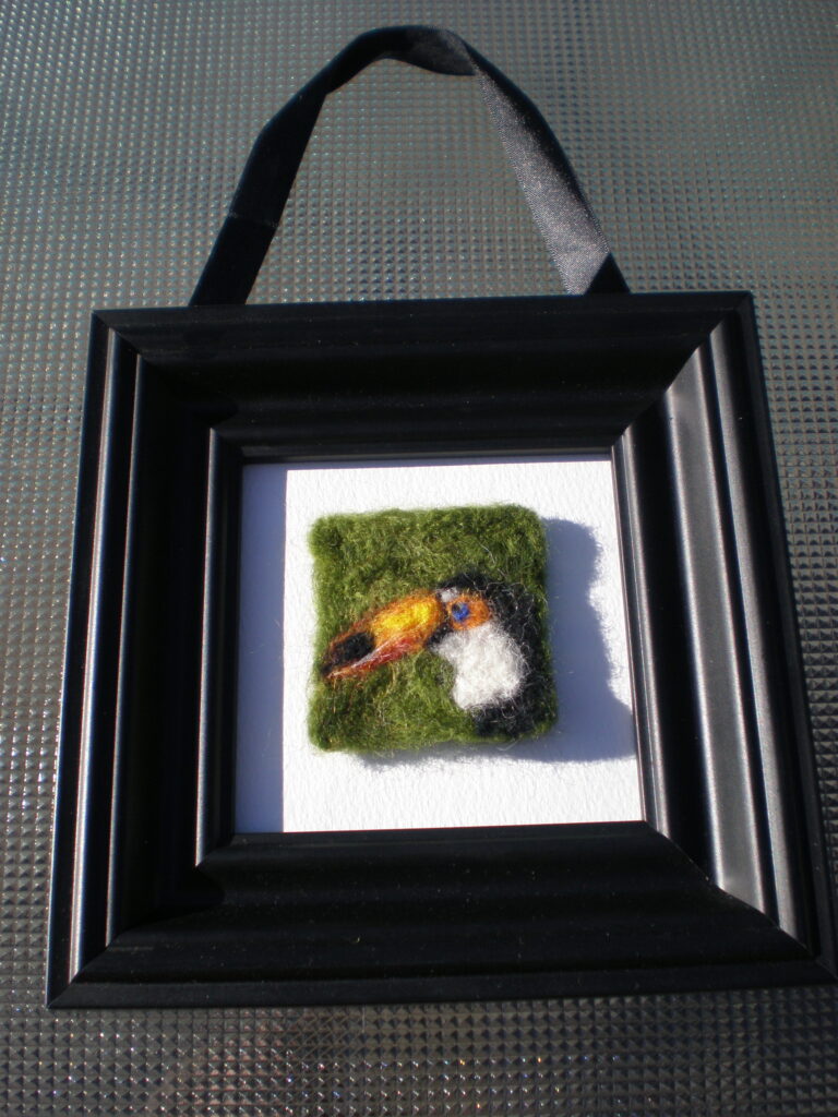 Felt - Needle Felt Toucan